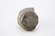 FileNo.199-023.jpg