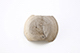 FileNo.199-032.jpg
