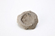 FileNo.199-047.jpg