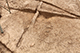 FileNo.199-050.jpg