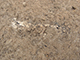 FileNo.199-054.jpg