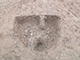 FileNo.199-055.jpg