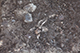 FileNo.199-059.jpg