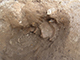FileNo.199-060.jpg