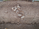 FileNo.199-069.jpg
