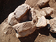 FileNo.199-070.jpg
