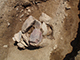 FileNo.199-071.jpg