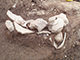 FileNo.199-074.jpg