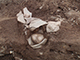 FileNo.199-075.jpg
