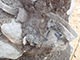 FileNo.199-077.jpg