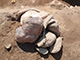 FileNo.199-078.jpg