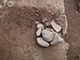 FileNo.199-081.jpg