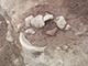 FileNo.199-082.jpg