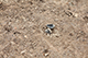 FileNo.199-088.jpg