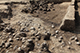FileNo.199-092.jpg