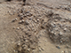 FileNo.199-094.jpg