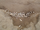 FileNo.199-103.jpg