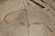 FileNo.199-108.jpg