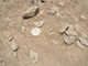FileNo.199-112.jpg