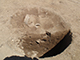 FileNo.199-113.jpg