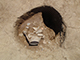 FileNo.199-115.jpg