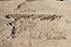 FileNo.199-117.jpg