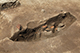 FileNo.199-120.jpg