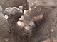 FileNo.199-121.jpg