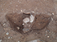 FileNo.199-127.jpg