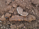 FileNo.199-131.jpg