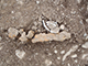 FileNo.199-133.jpg