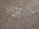 FileNo.199-135.jpg