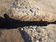 FileNo.199-136.jpg