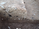 FileNo.199-139.jpg