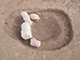 FileNo.199-156.jpg