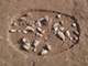 FileNo.199-157.jpg