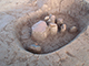 FileNo.199-161.jpg