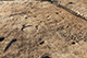 FileNo.199-165.jpg
