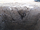 FileNo.199-168.jpg