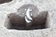 FileNo.199-176.jpg