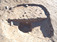 FileNo.199-180.jpg