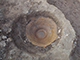 FileNo.199-184.jpg