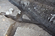 FileNo.199-192.jpg
