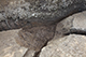FileNo.199-194.jpg