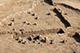 FileNo.199-196.jpg