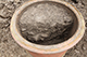 FileNo.199-206.jpg