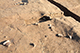 FileNo.199-214.jpg