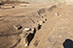 FileNo.199-220.jpg