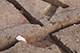 FileNo.199-228.jpg