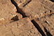 FileNo.199-229.jpg